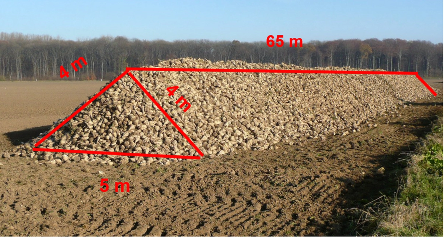 Beeindruckende Substitutionsleistung von BarMatinTM